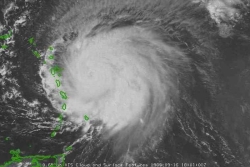 C'était il y a 35 ans, le 16 septembre 1989, le cyclone Hugo ravageait la Guadeloupe