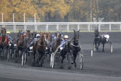 Les pronostics du Quinté de Vincennes du 19 septembre 2024 par Jack Vautrin