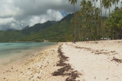 Projet de la plage de Temae : les deux parties se sont rencontrées, mais rien n'est encore acté